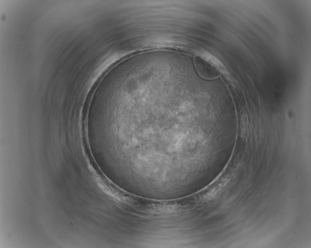 X0000068821039200605051205