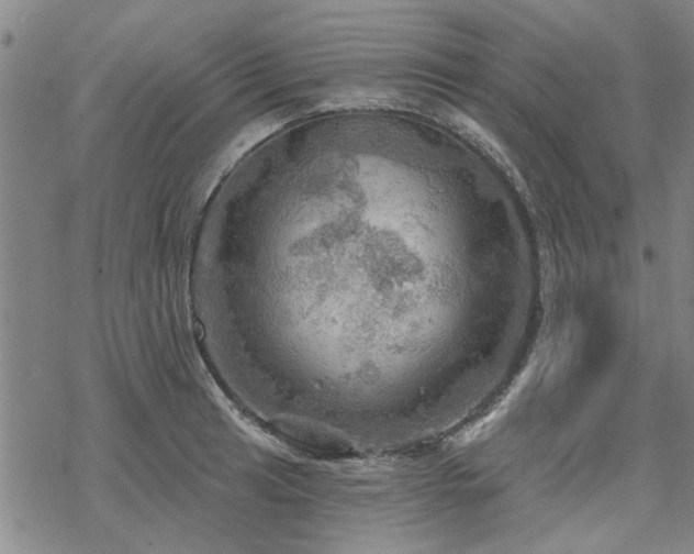 X0000068821041200605051205