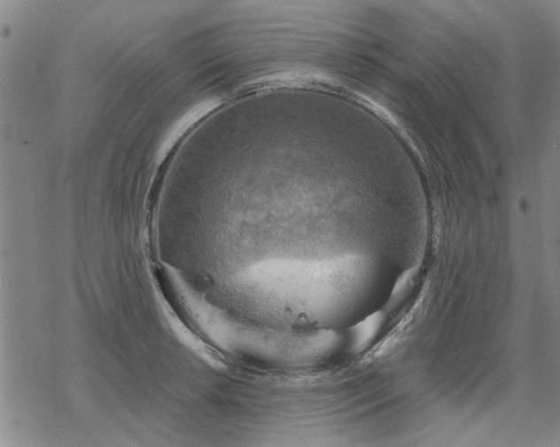 X0000068821042200605051205