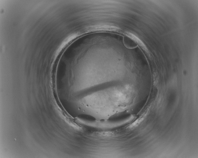 X0000068821043200605051205