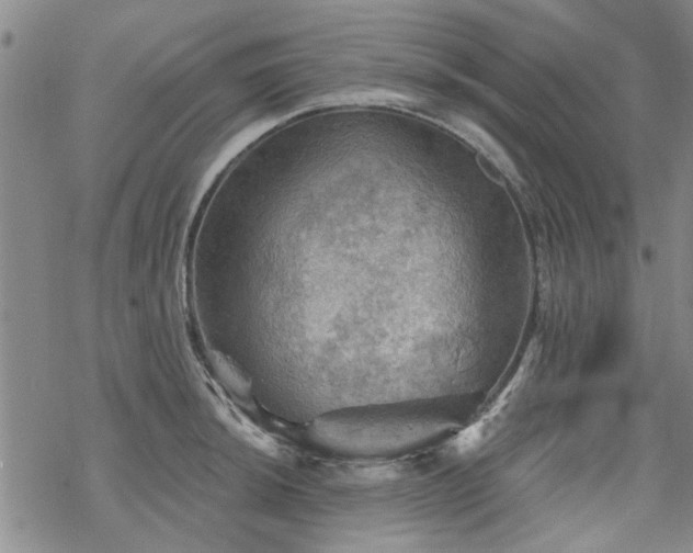 X0000068821044200605051205