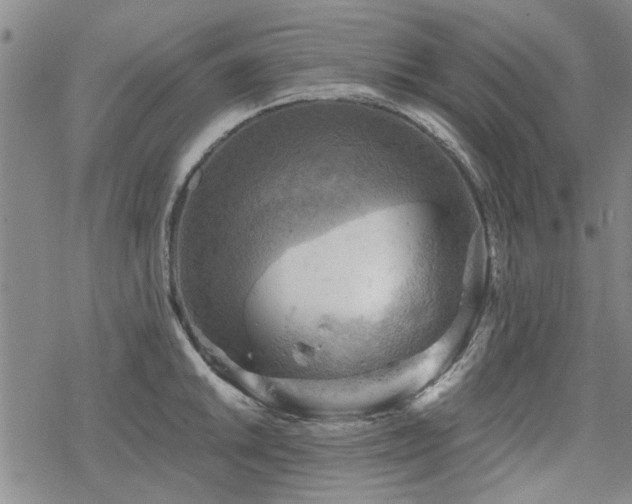 X0000068821046200605051205