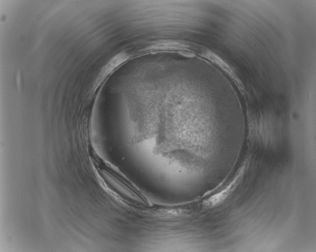 X0000068821049200605051205