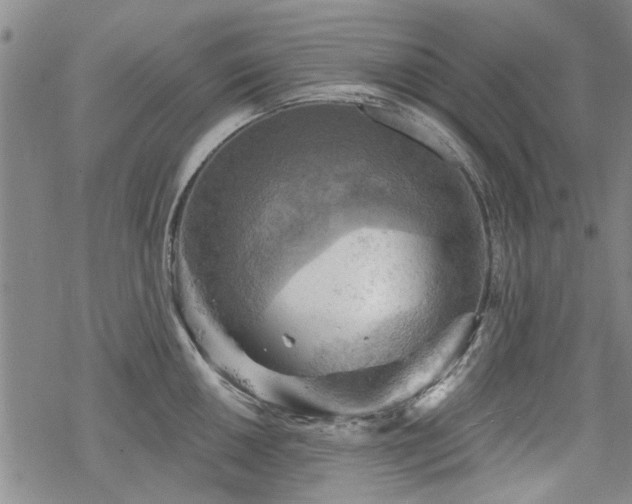 X0000068821050200605051205