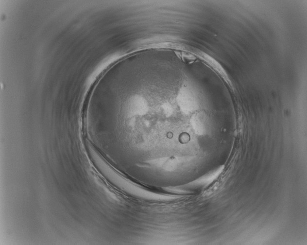 X0000068821051200605051205