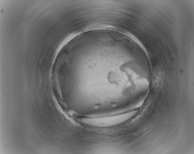 X0000068821053200605051205