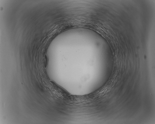 X0000068821057200605051205