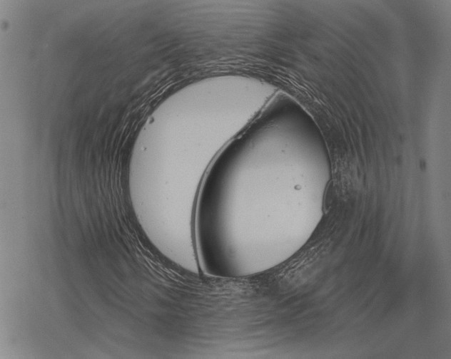 X0000068821058200605051205