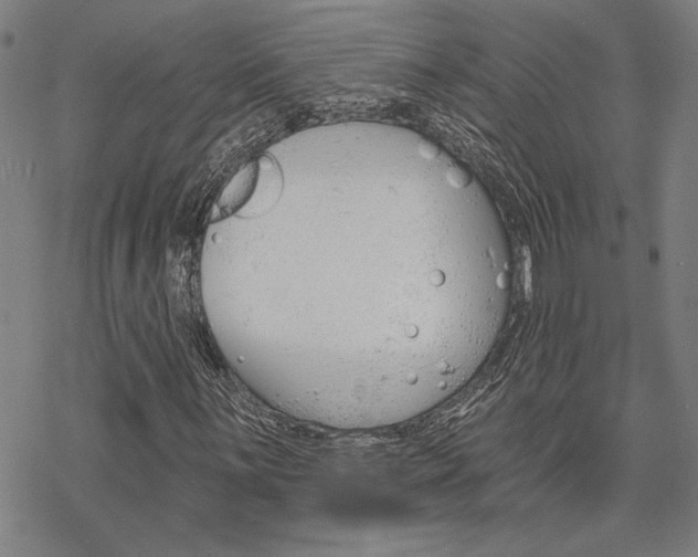 X0000068821059200605051205