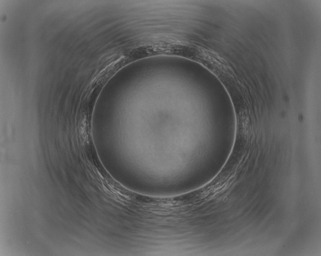 X0000068821060200605051205