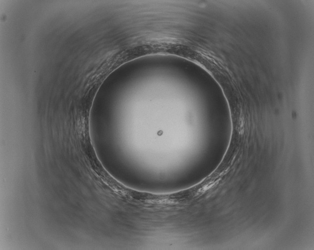 X0000068821061200605051205