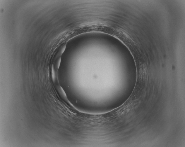 X0000068821062200605051205