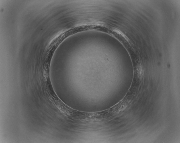 X0000068821064200605051205