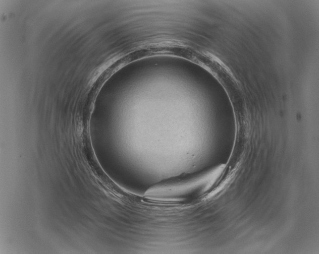 X0000068821065200605051205