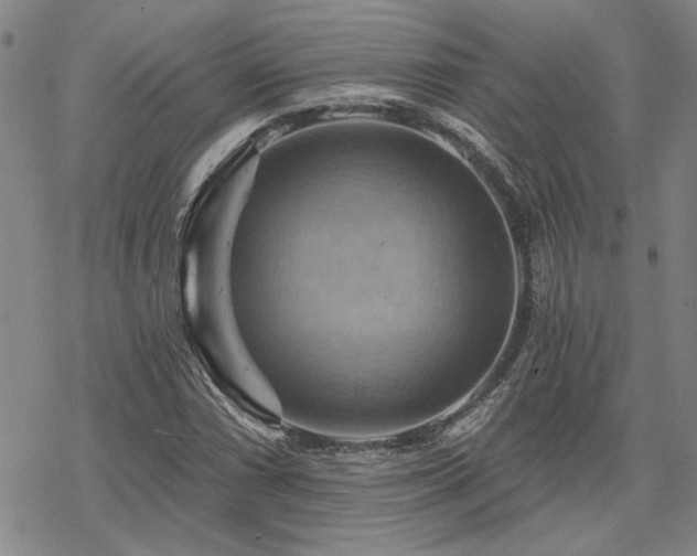 X0000068821066200605051205