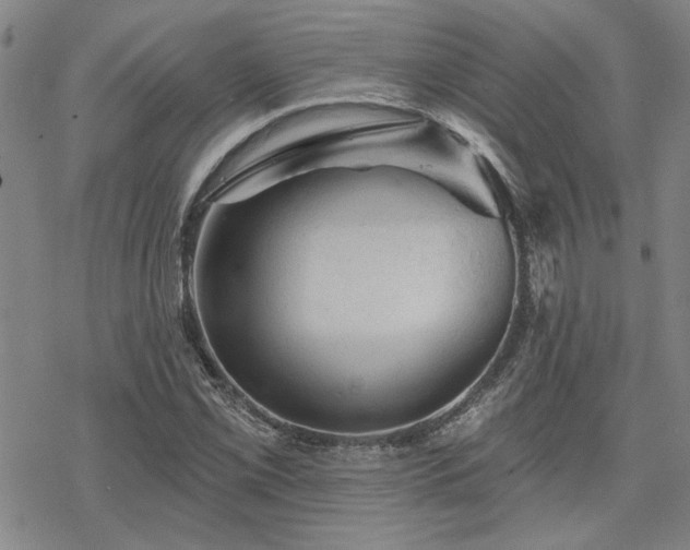 X0000068821069200605051205