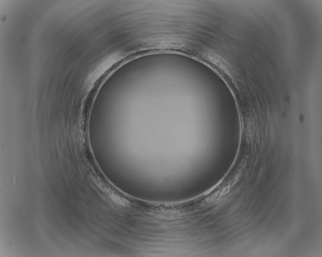 X0000068821071200605051204