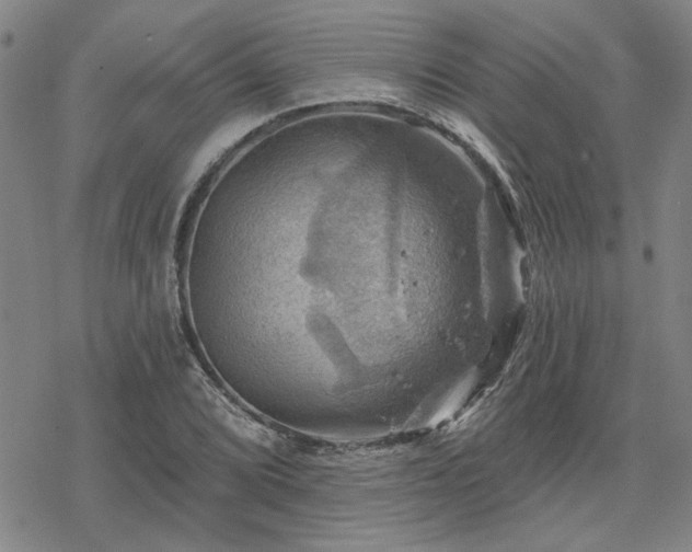 X0000068821072200605051204