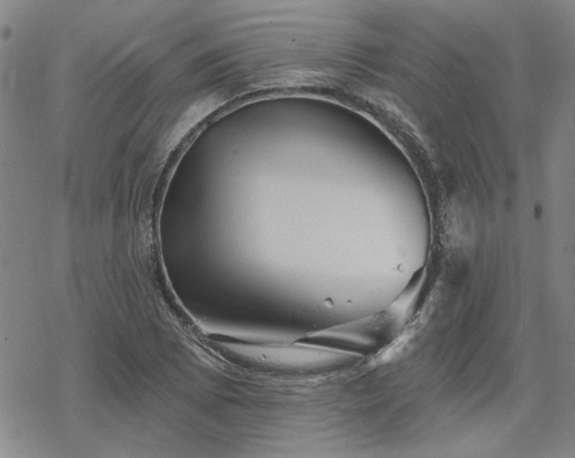 X0000068821073200605051204