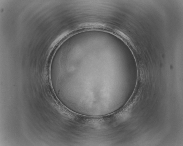 X0000068821074200605051204