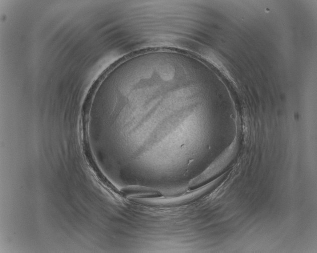 X0000068821076200605051204