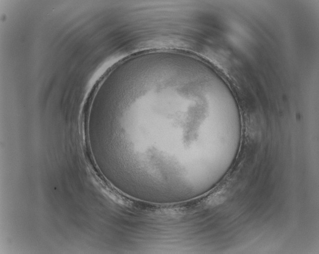 X0000068821078200605051204