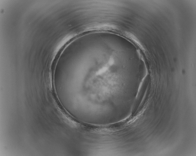 X0000068821079200605051204