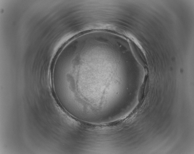 X0000068821080200605051204