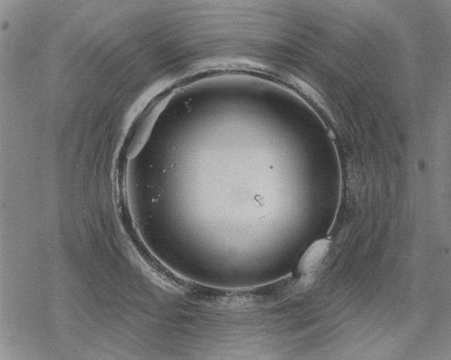 X0000068821082200605051204