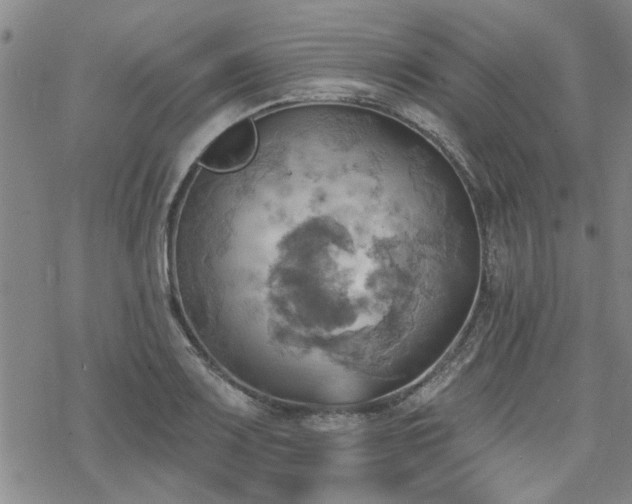 X0000068821083200605051204