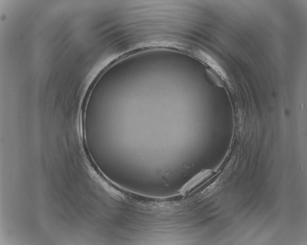 X0000068821084200605051204