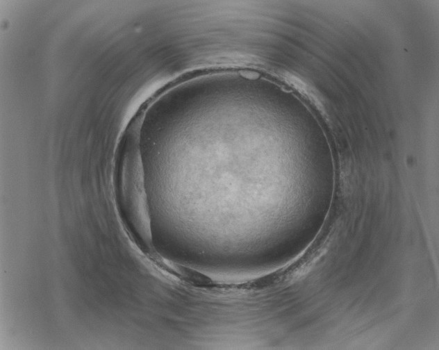 X0000068821085200605051204