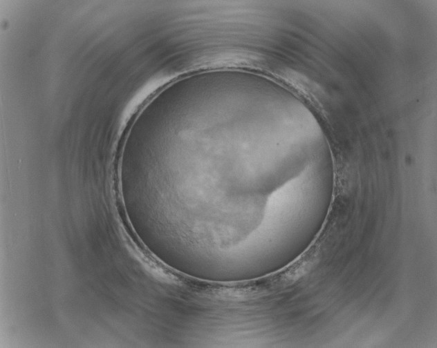 X0000068821086200605051204