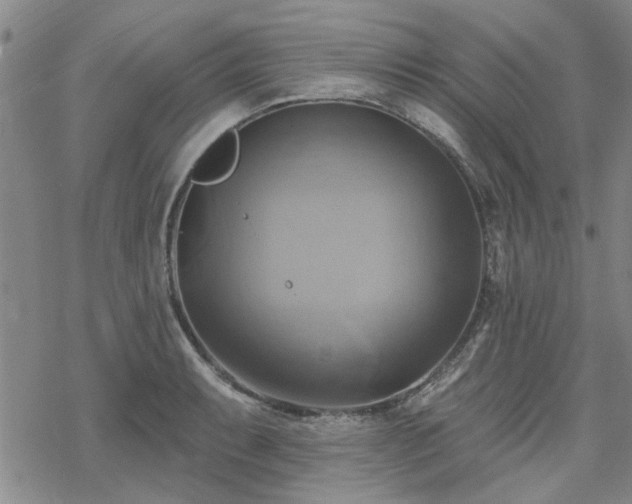 X0000068821087200605051204