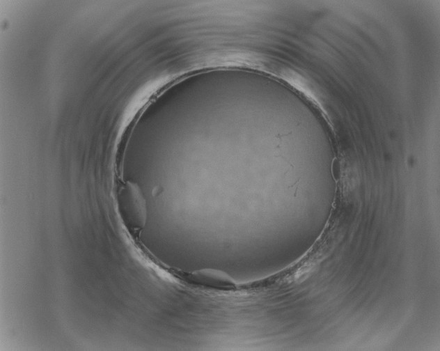 X0000068821088200605051204