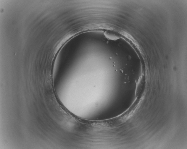 X0000068821089200605051204