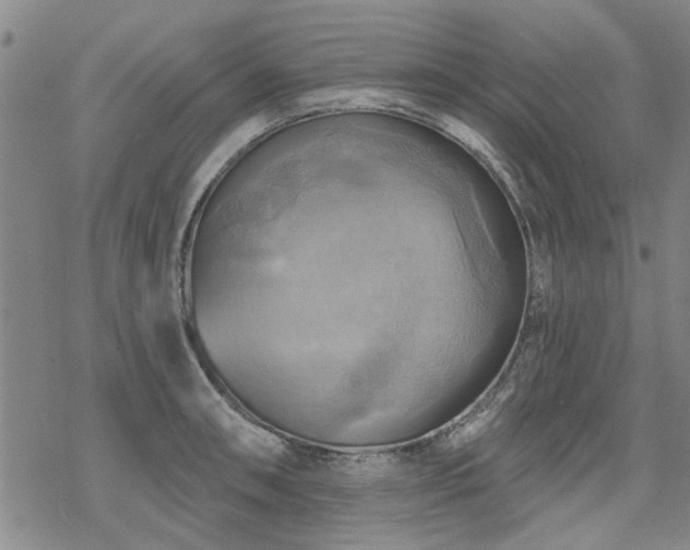 X0000068821090200605051204