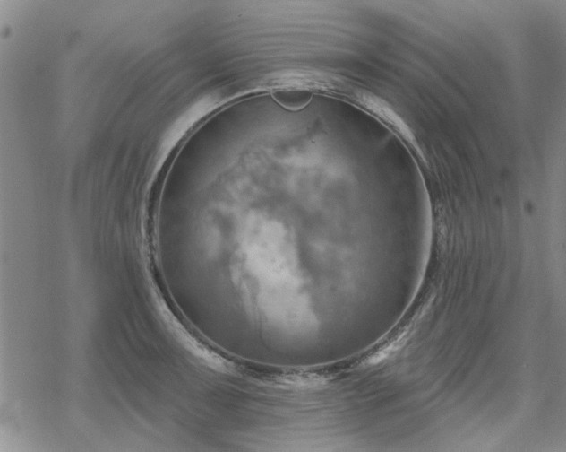 X0000068821091200605051204