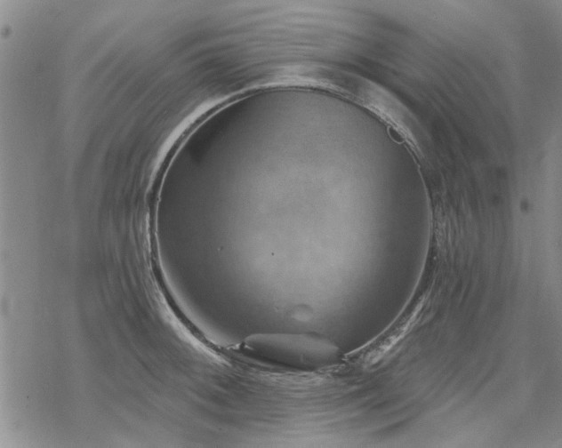 X0000068821092200605051204