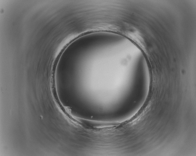 X0000068821093200605051204