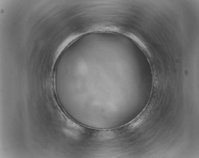 X0000068821094200605051204