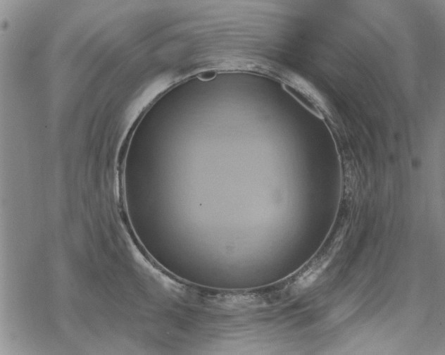 X0000068821095200605051204