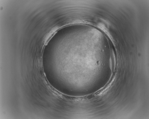 X0000068821097200605051204