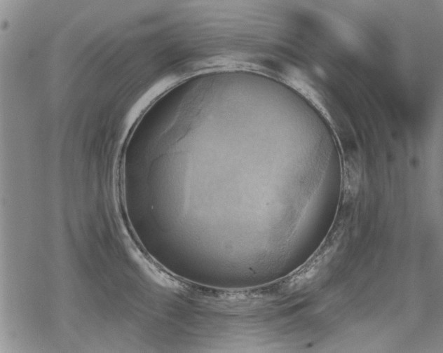 X0000068821098200605051204