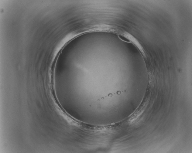 X0000068821099200605051204