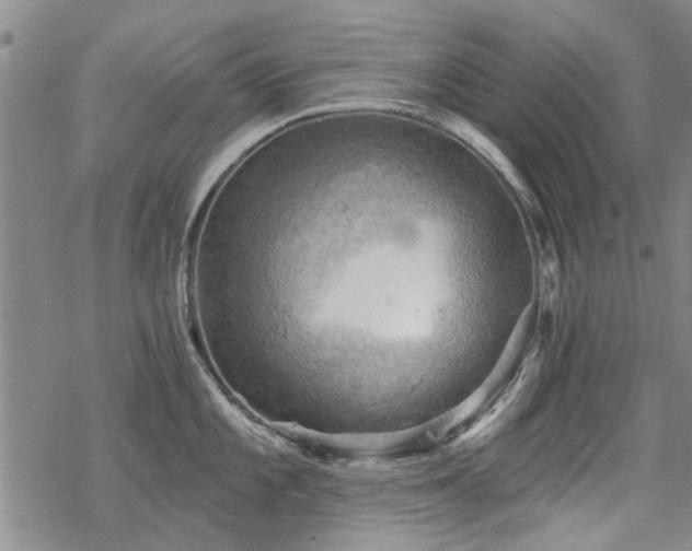 X0000068821101200605051204