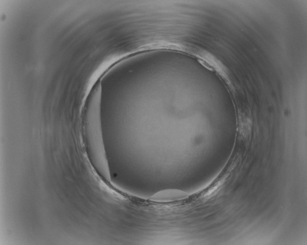 X0000068821102200605051204