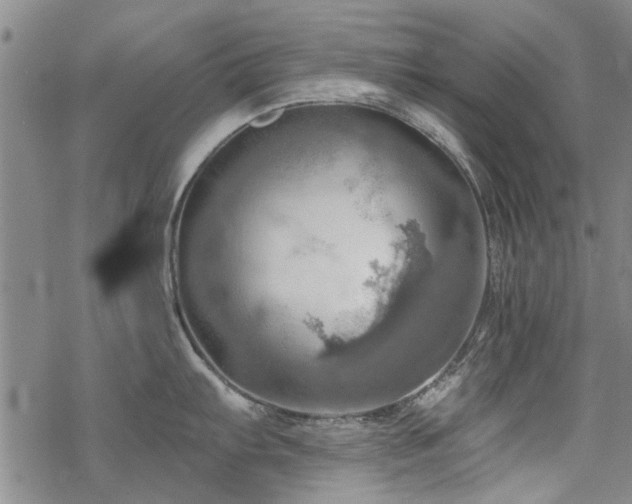 X0000068821103200605051204