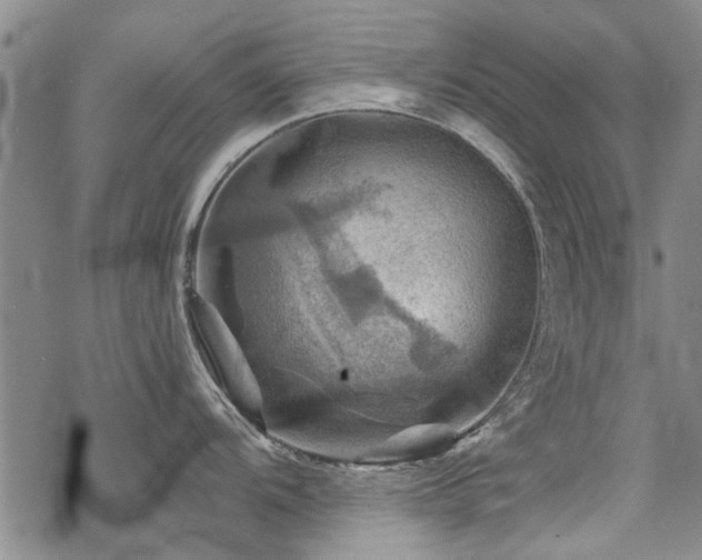 X0000068821104200605051204