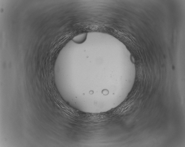 X0000068821105200605051203